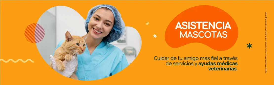 asistencia de mascotas
